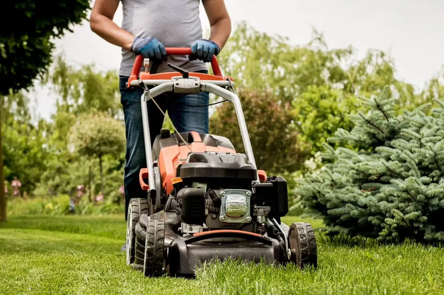 service single images