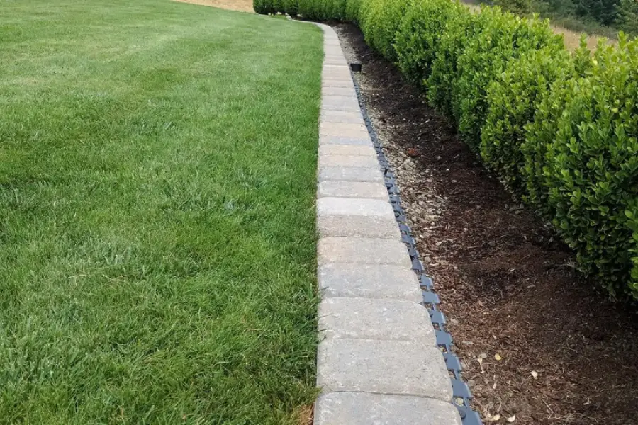 service single images