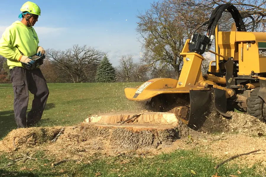 service single images