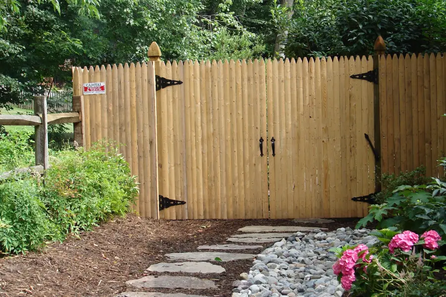 service single images