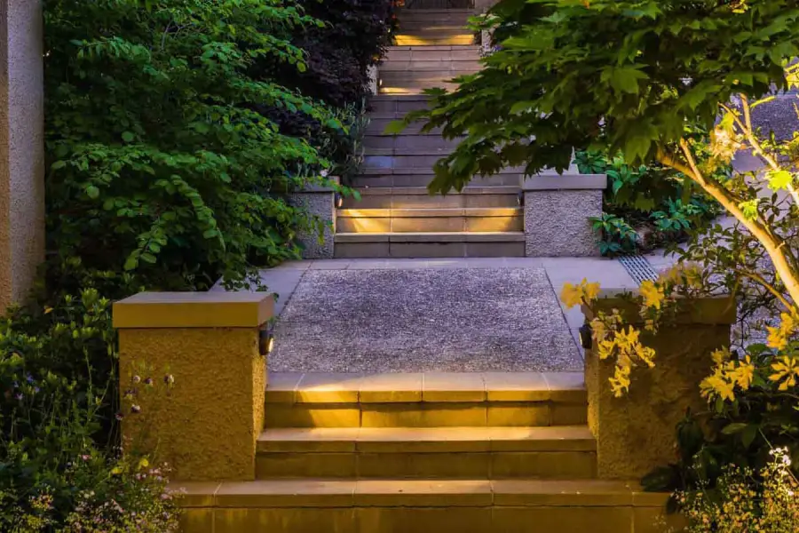 service single images